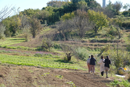 新春・ケに戻るきっかけの日