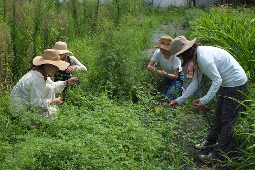 花助さん　活動＆体験日