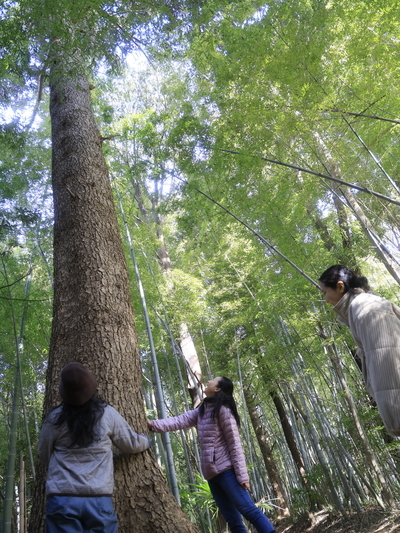 森歩き＆ほかほかご飯