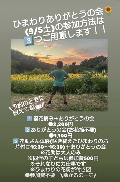 みんなの福花摘み(ひまわり畑編)